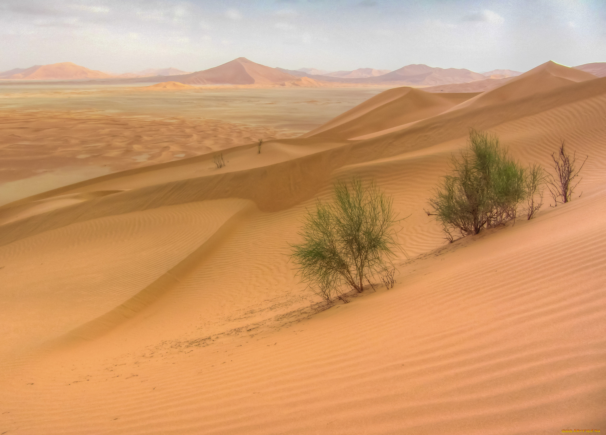 Зона пустынь (полупустыни и пустыни)